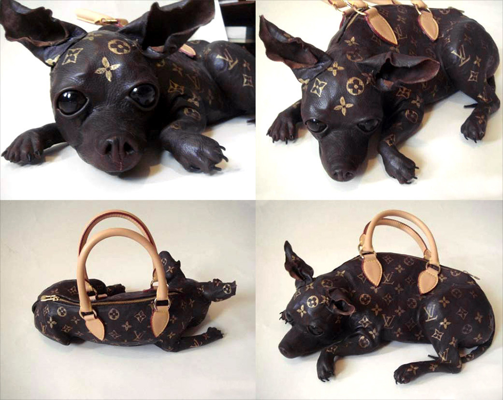 dog_bag